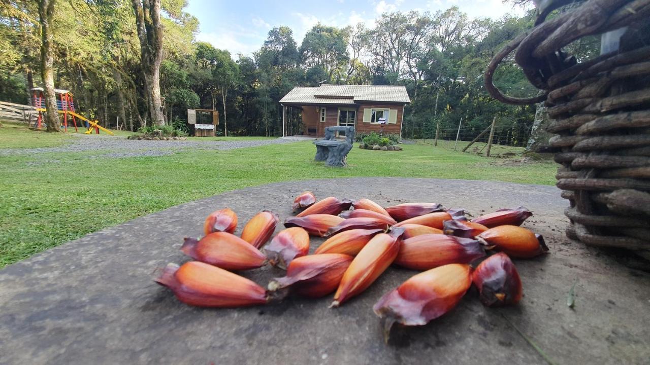 Sitio Recanto Feliz Gramado Luaran gambar